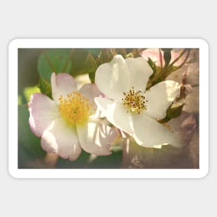 Just Call Us Dog Roses Sticker